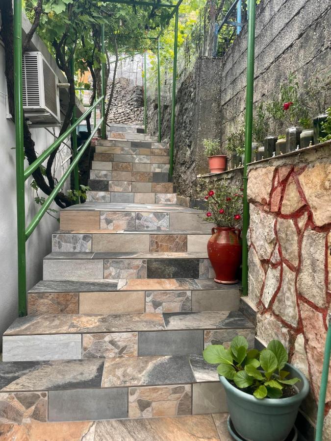 Panoramic View Guest House ジロカストラ エクステリア 写真