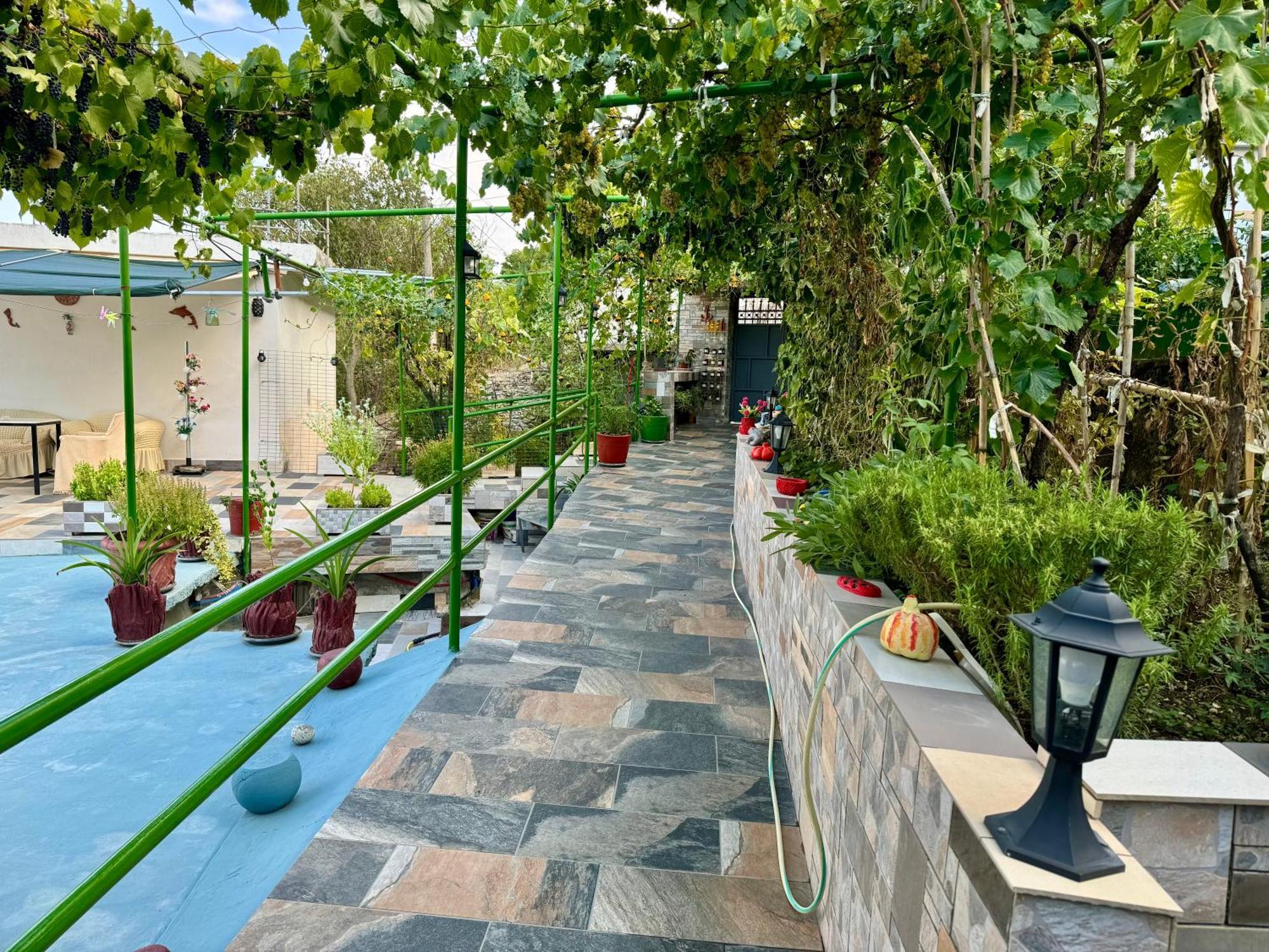 Panoramic View Guest House ジロカストラ エクステリア 写真