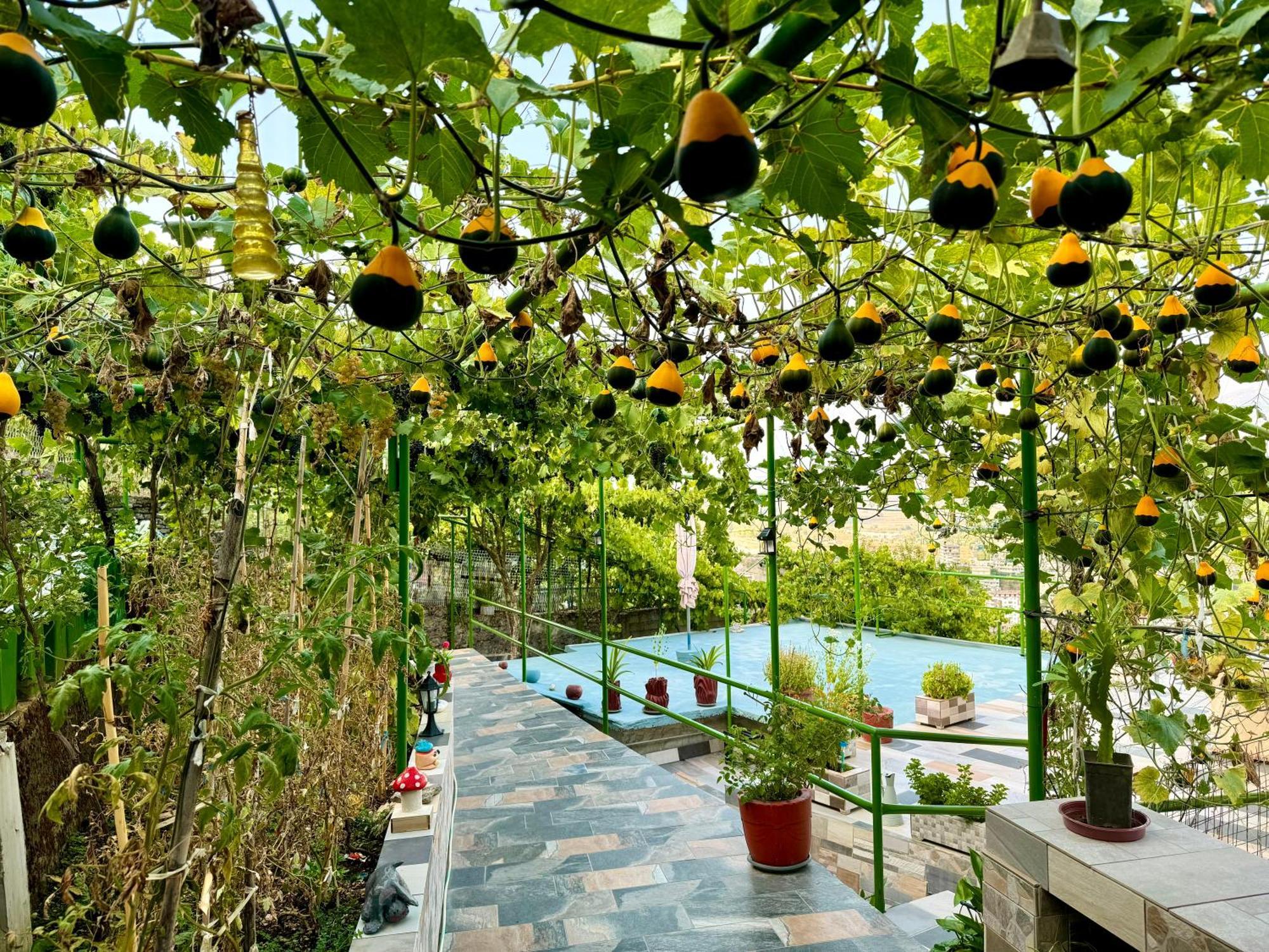 Panoramic View Guest House ジロカストラ エクステリア 写真