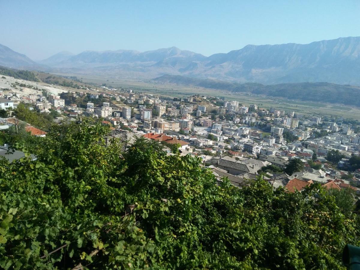 Panoramic View Guest House ジロカストラ エクステリア 写真
